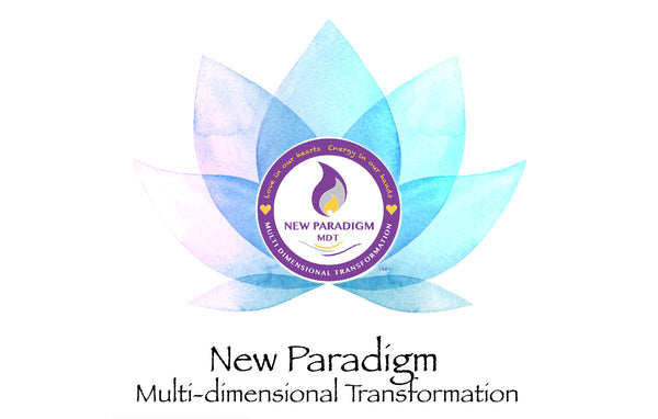 New Paradigm 2-Day Master Class : May 18 & 19, 2024 : Aberdeen, NC