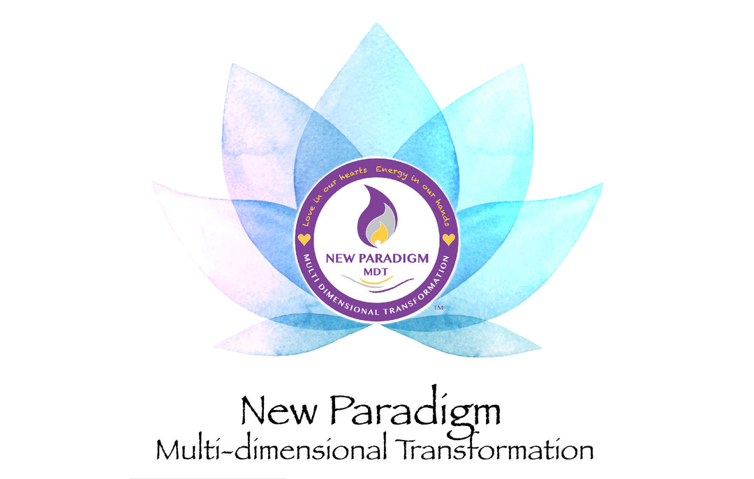 New Paradigm 2-Day Master Class